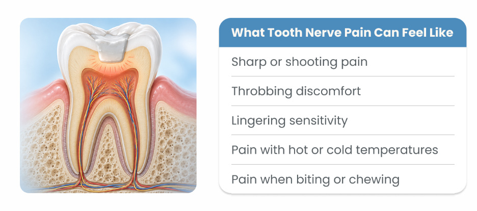 Tooth cross-section showing the dental pulp and nerve to explain tooth nerve pain and sensitivity after a filling.